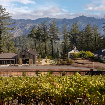 Vintner's Luncheon at Theorem Vineyards