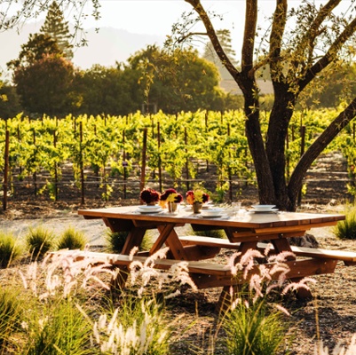 Vintner's Luncheon at^Arrow&Branch Winery