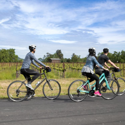 Riding the Napa Valley Vine Trail